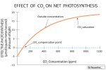 Effect-CO2-on-photosynthesis-in-cannabis-ed-rosenthal.jpg